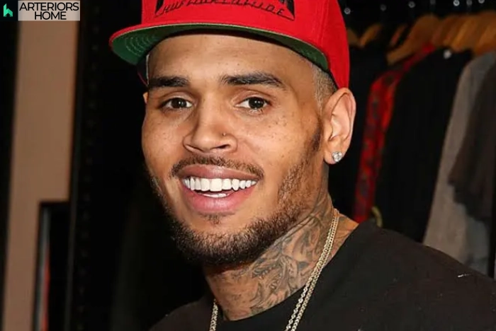 Chris Brown performing live on stage during a concert in Los Angeles