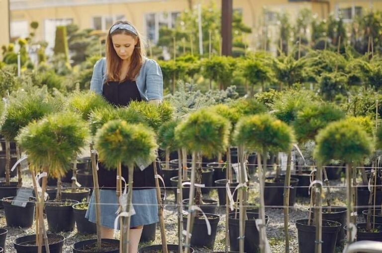 10 Beautiful, Low-Maintenance Plants Anyone Can Grow