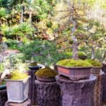 Upcycle Your Way to a Unique Garden Oasis