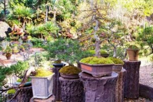 Upcycle Your Way to a Unique Garden Oasis