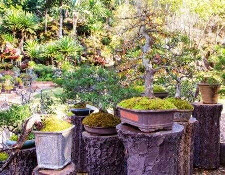 Upcycle Your Way to a Unique Garden Oasis