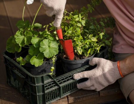 Is Container Gardening the Solution for Your Small Outdoor Space?