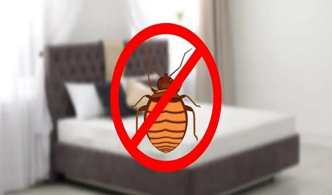 heat treatment for bed bugs