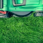 lawn care and landscaping