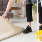 Is it Better to Shampoo or Steam Clean Carpets?