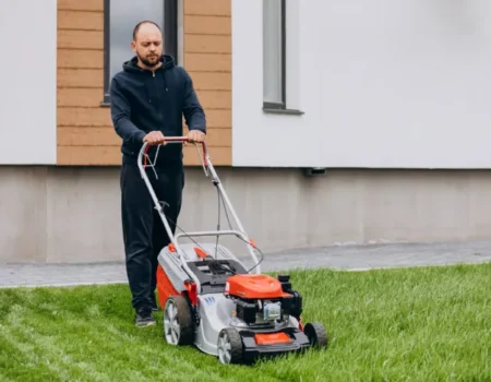 How Often Should You Dethatch Your Lawn?