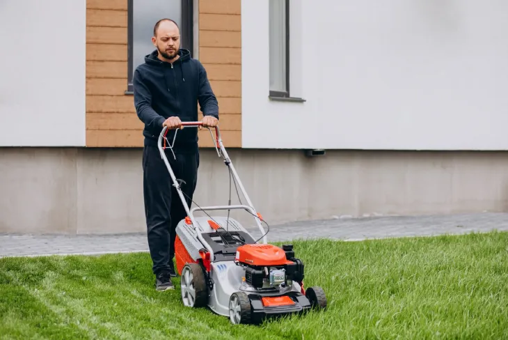 How Often Should You Dethatch Your Lawn?