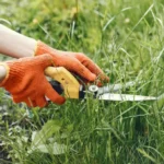 What Month Should You Stop Cutting Grass?