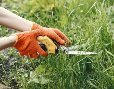 What Month Should You Stop Cutting Grass?