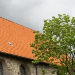 Spanish Roof Tile Style Edares Esclavas Parsitie showcasing intricate patterns and warm terracotta hues on a residential rooftop.