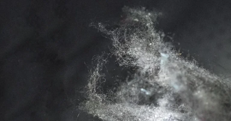 Asbestlint: The Microscopic Threat Hiding in Your Building