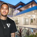 Chris Brown House luxury mansion with modern design and stunning architecture