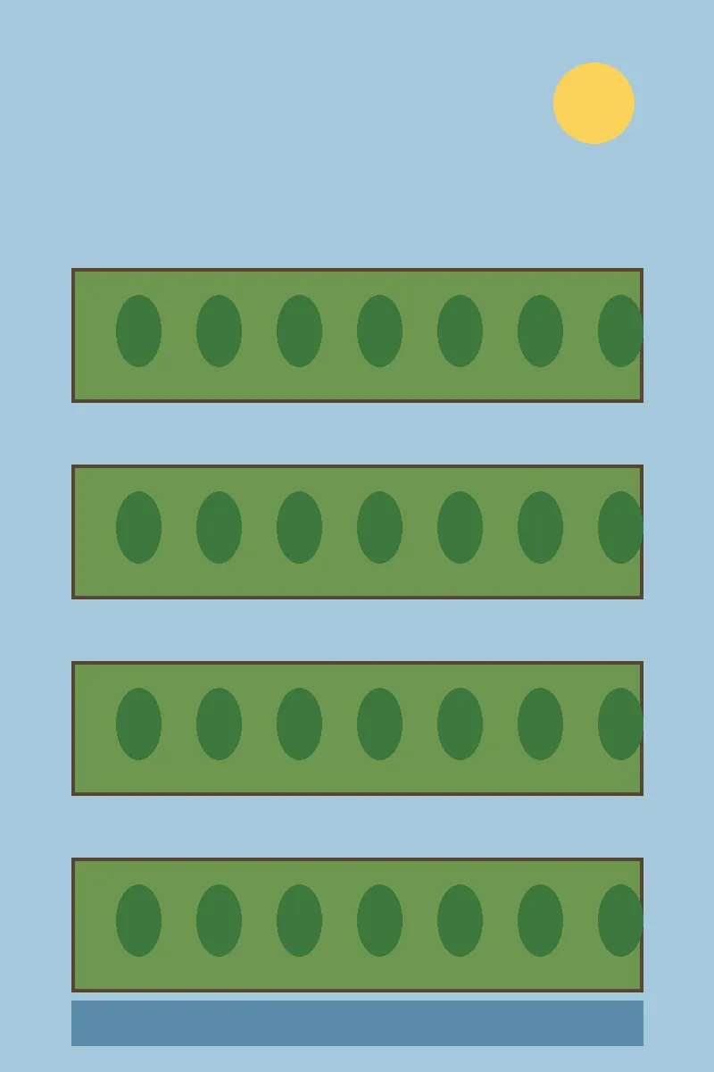 Tiered garden and pool illustration