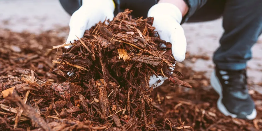 winter garden checklist: mulching bare beds with bark compost