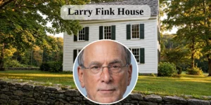 larry fink house