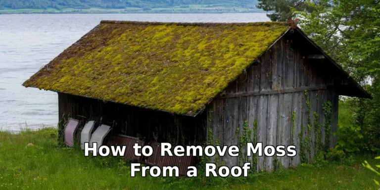 how to remove moss from a roof