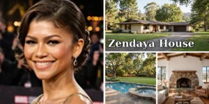 zendaya house